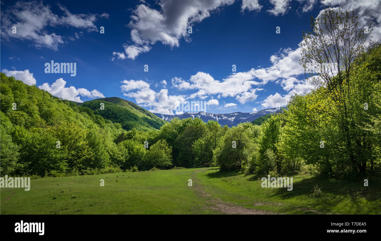 Clear blue sky green grass hi-res stock photography and images - Alamy