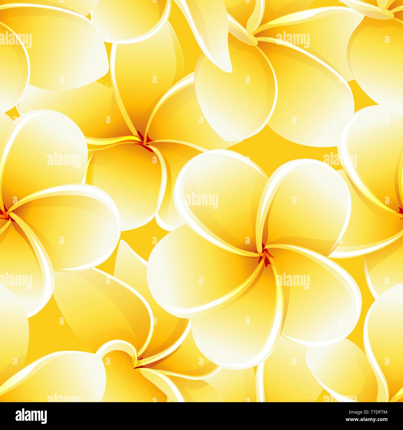 Seamless summer pattern frangipani plumeria tropical flowers vector ...
