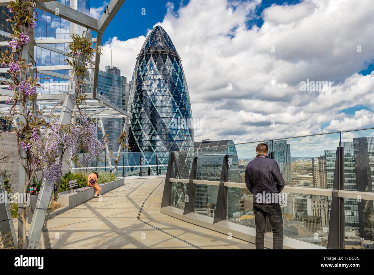 The Gherkin from The Garden at 120 , a roof garden in the City of London on the roof of Fen Court office building , London, UK Stock Photo