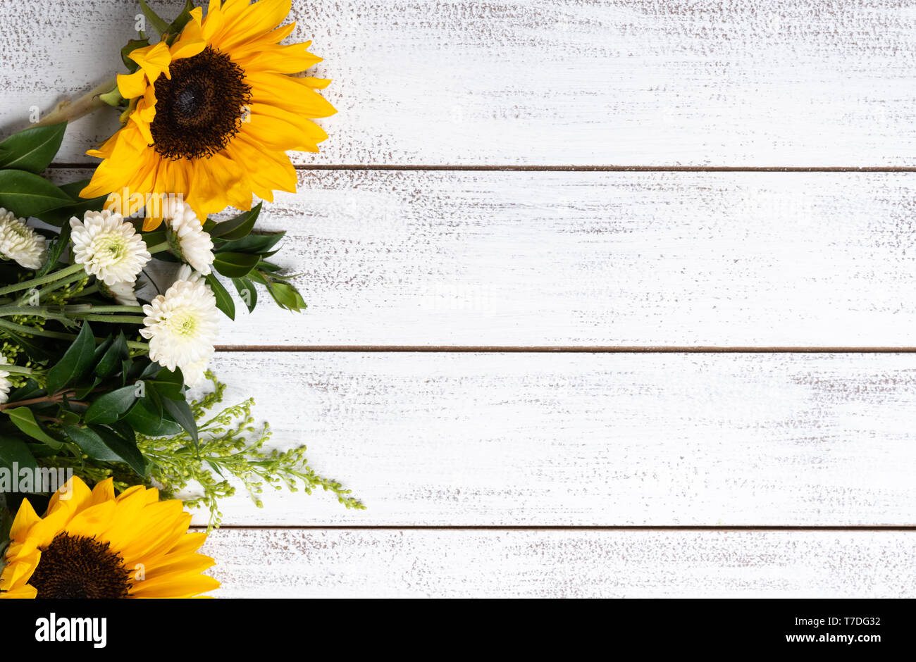 Yellow sunflower arrangement on white wood background with copy space