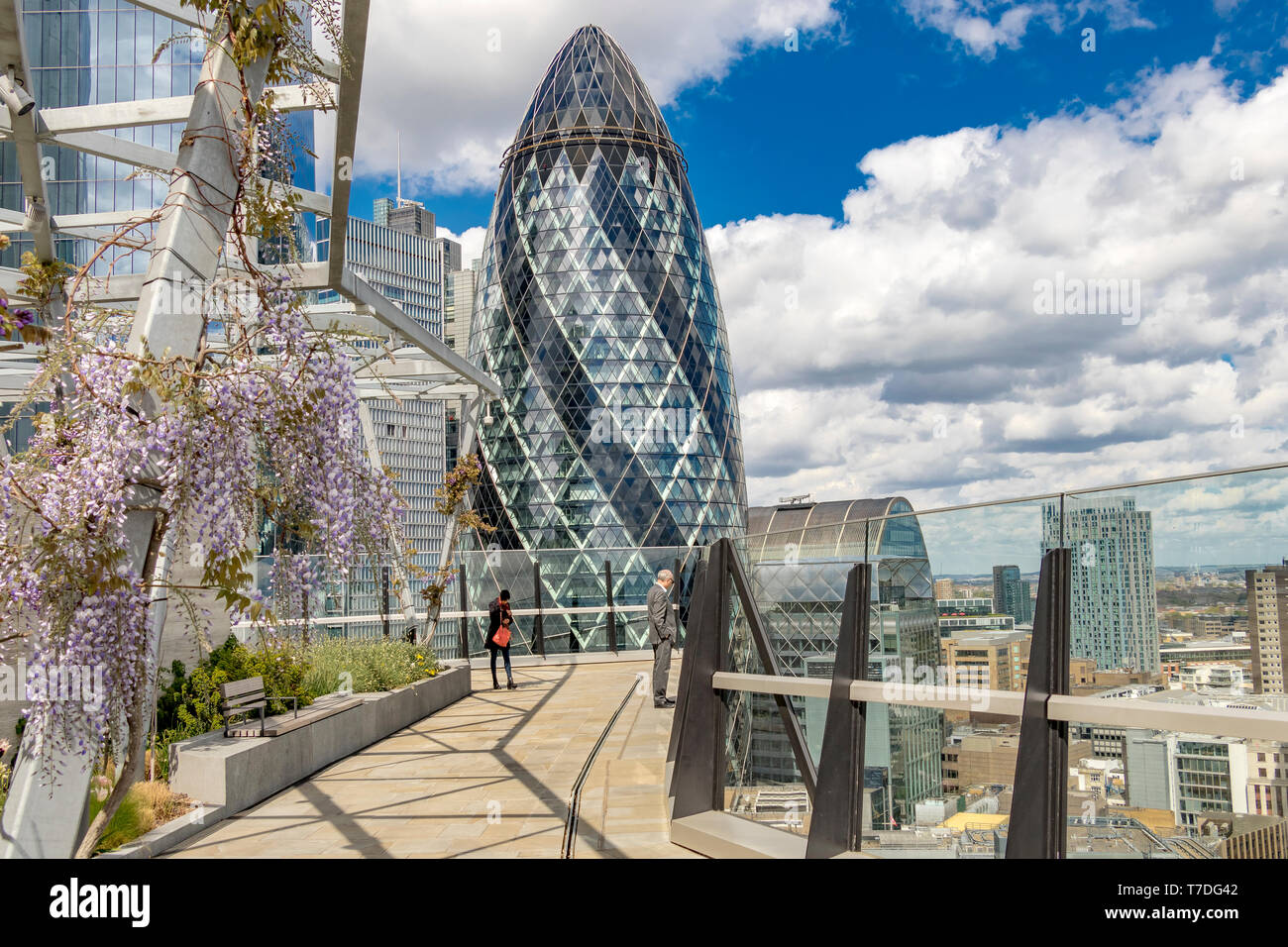 The Gherkin from The Garden at 120, a roof garden in the City of London on the roof of Fen Court office building ,London, UK Stock Photo