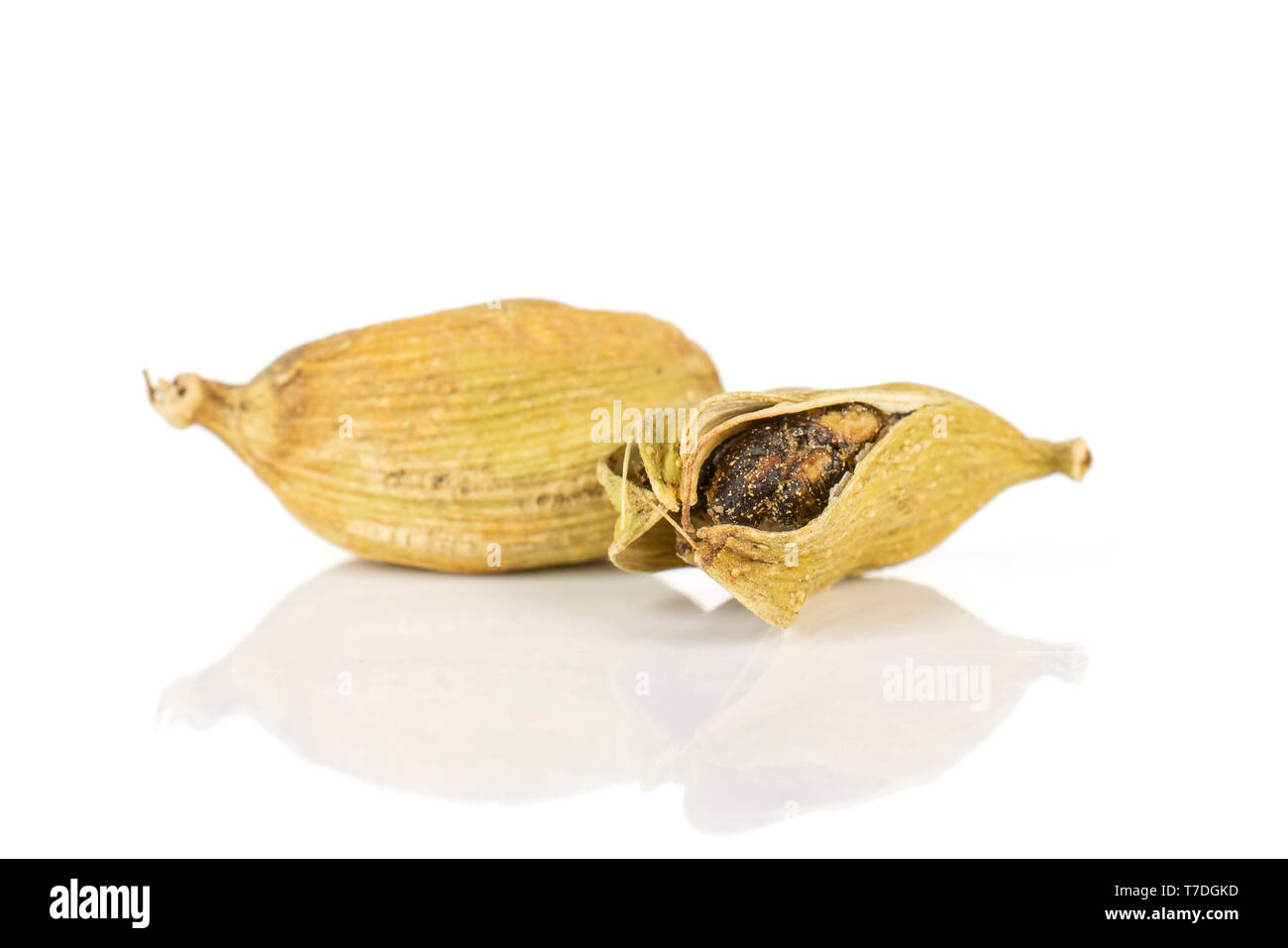 Group of two whole true cardamom pod isolated on white background Stock Photo