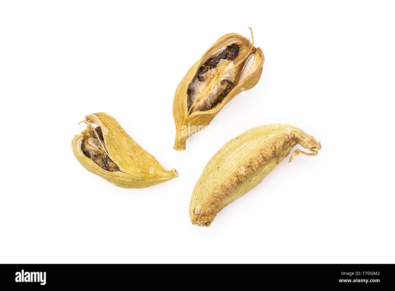 Group of three whole true cardamom pod flatlay isolated on white background Stock Photo