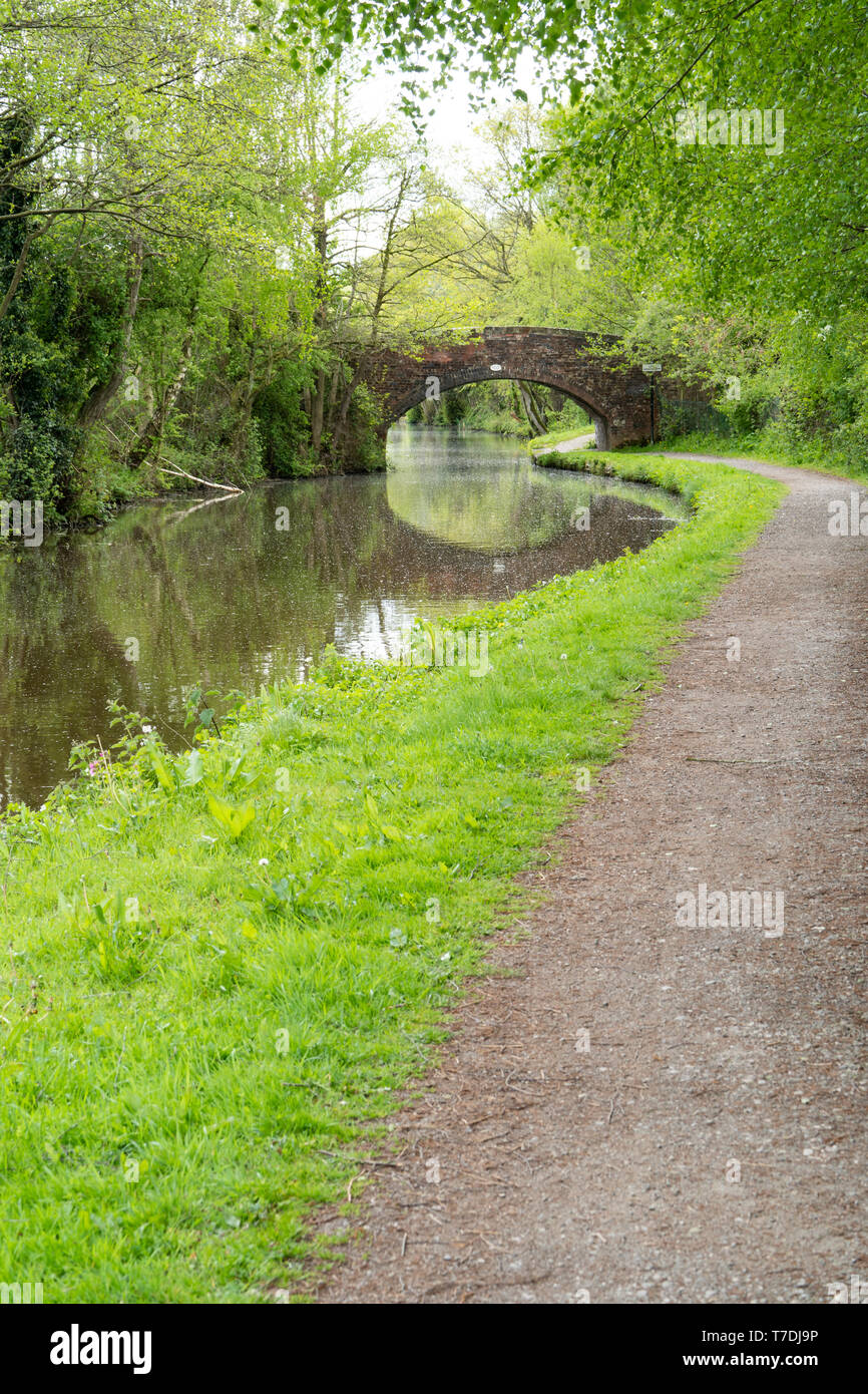 Bridge 100 (humpbacked bridge) on the Trent and Mersey Canal
