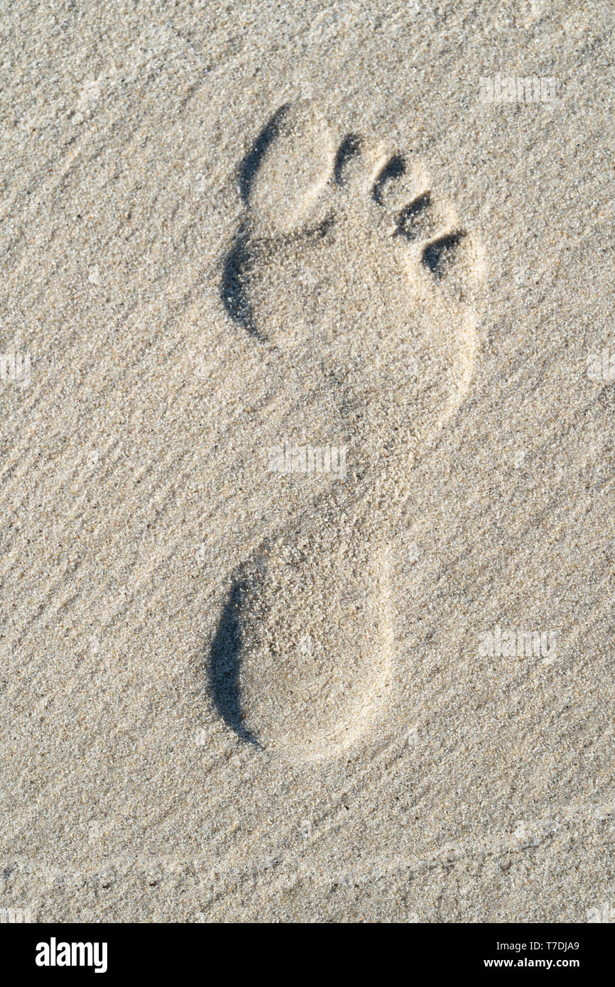 Female Footprint In Sand On A Beach Stock Photo Alamy