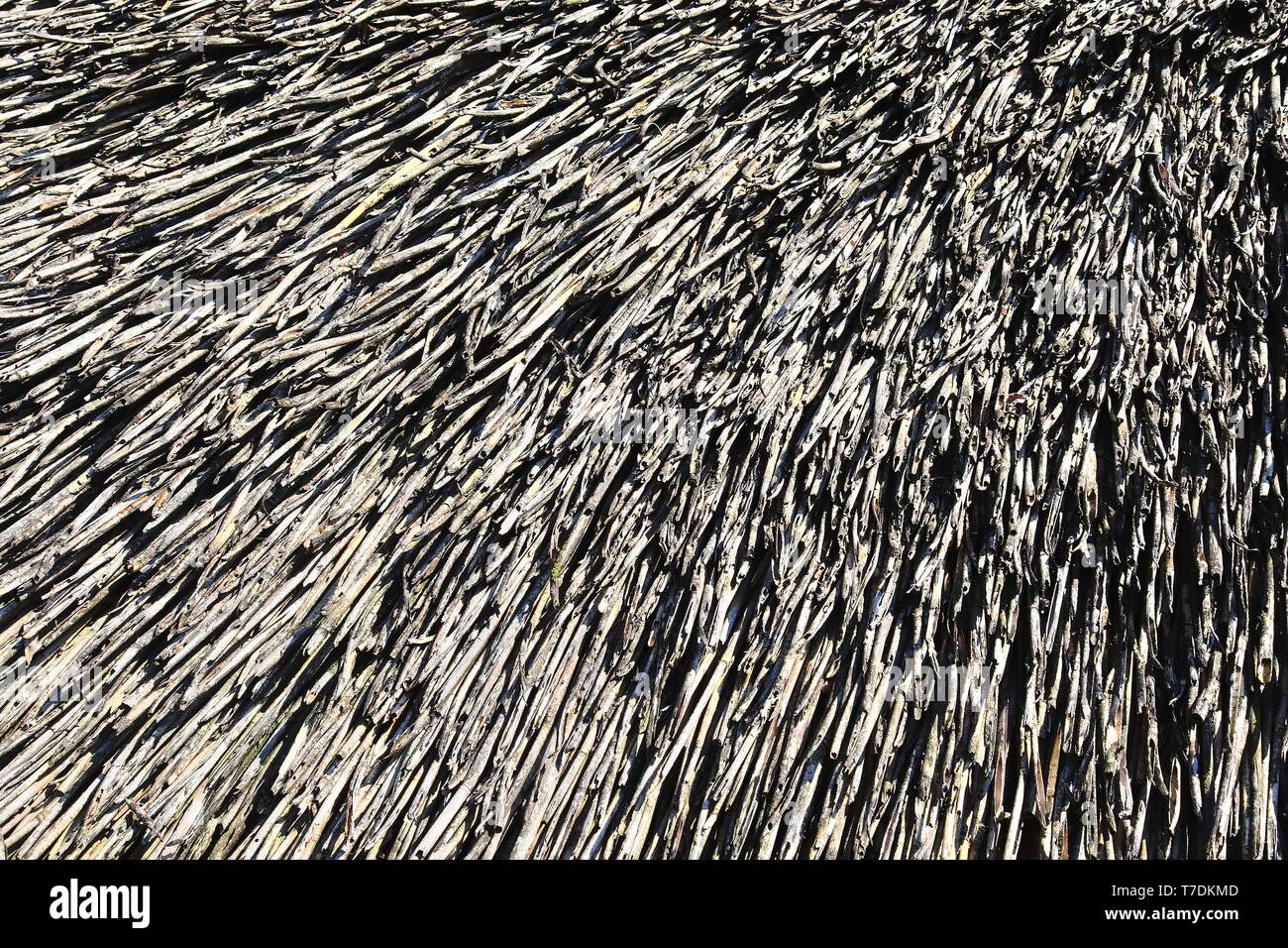 Close of surface of reed and hay surface in high resolution Stock Photo ...
