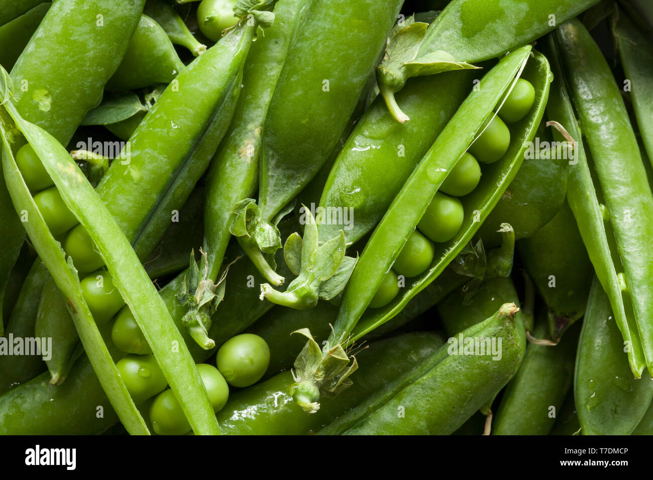 Green Peas in Pods Stock Photo Alamy