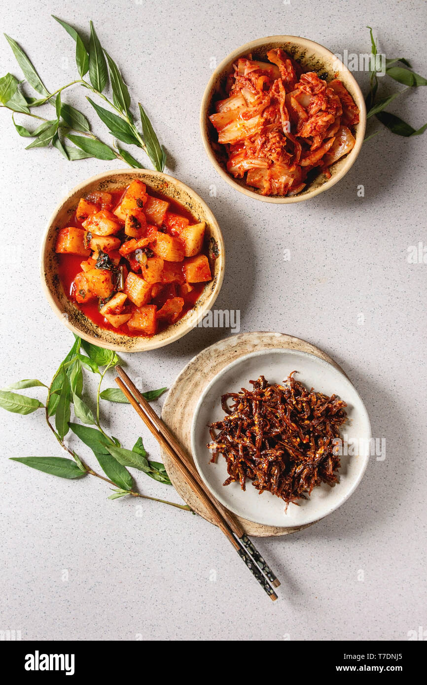 Korean traditional fermented appetizer kimchi cabbage and radish salad, hot spicy anchovies fish