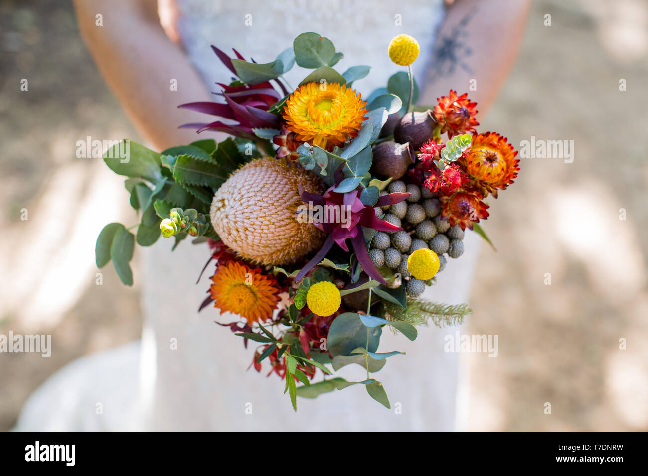 Bride with bouquet of native Australian flowers Stock Photo