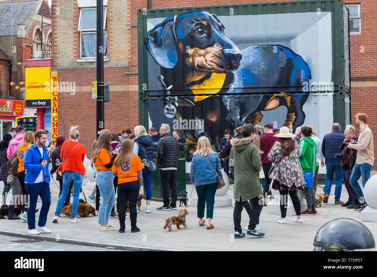 Boscombe, Bournemouth, Dorset, UK. 6th May, 2019. Dachshund Dash, part of Bournemouth Emerging Arts Fringe (BEAF) Festival invites dachshunds and their owners to gather under the Daschund artwork to see how many they can gather in one place. Credit: Carolyn Jenkins/Alamy Live News Stock Photo