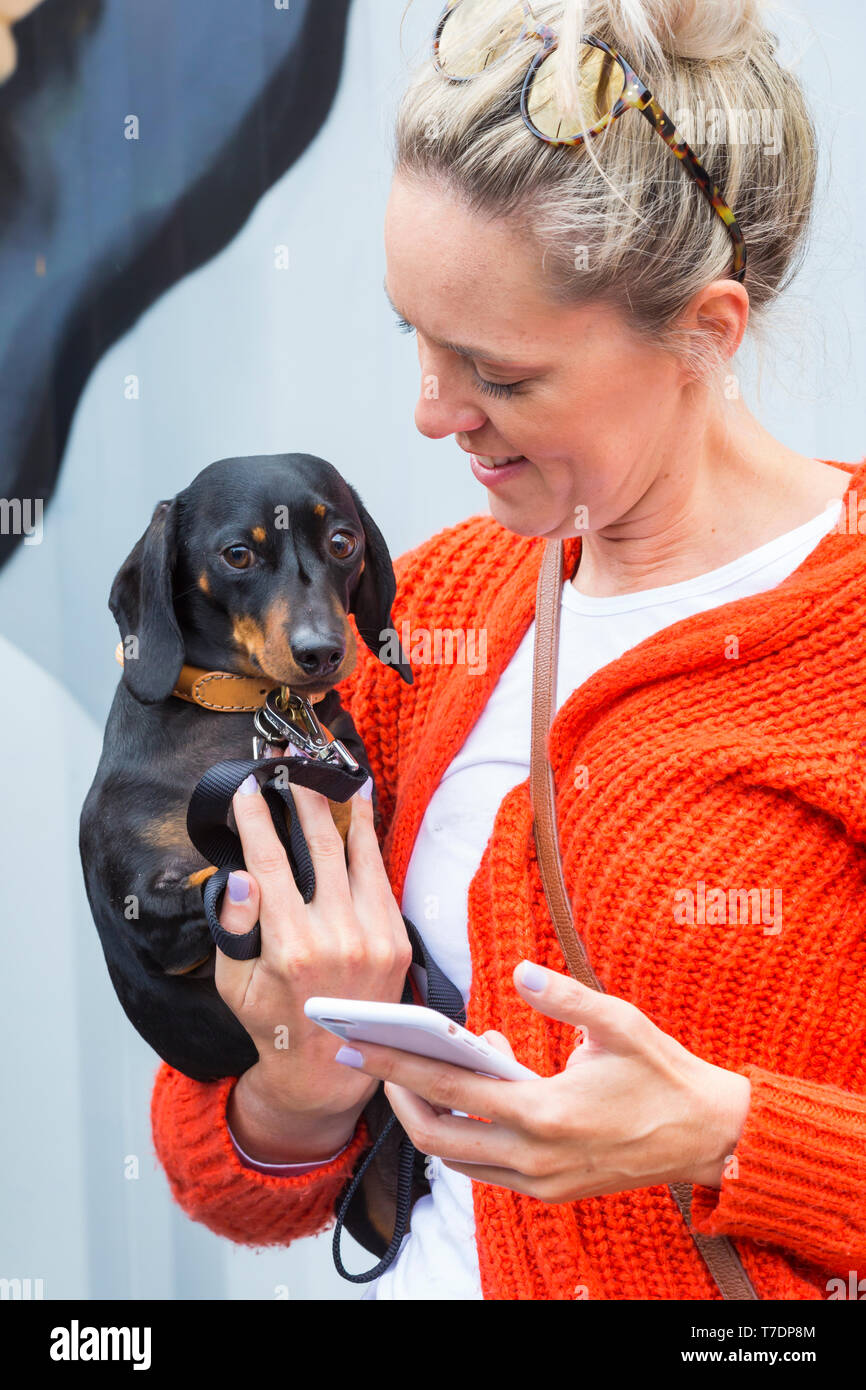 Boscombe, Bournemouth, Dorset, UK. 6th May 2019. Dachshund Dash, part of Bournemouth Emerging Arts Fringe (BEAF) Festival invites dachshunds and their owners to gather under the Daschund artwork to see how many they can gather in one place. Credit: Carolyn Jenkins/Alamy Live News Stock Photo