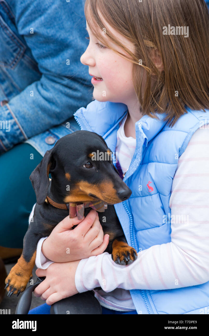 Boscombe, Bournemouth, Dorset, UK. 6th May 2019. Dachshund Dash, part of Bournemouth Emerging Arts Fringe (BEAF) Festival invites dachshunds and their owners to gather under the Daschund artwork to see how many they can gather in one place. Credit: Carolyn Jenkins/Alamy Live News Stock Photo