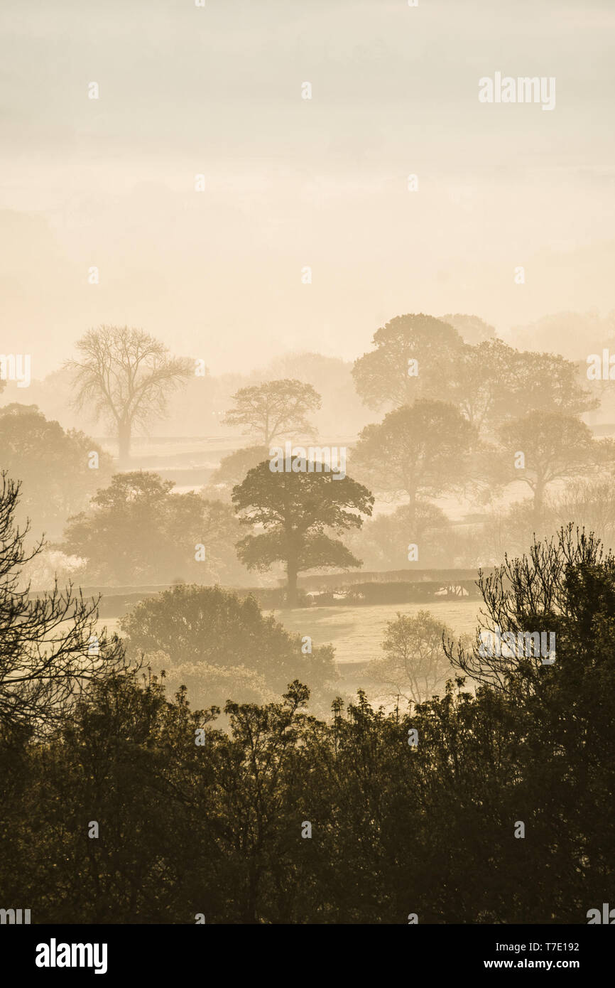 Aeron valley, Ceredigion, west Wales UK. Tuesday 07 May 2019  UK Weather: Early morning mist fills  the Aeron valley, in rural west Wales, on a bright May morning.  photo credit: Keith Morris/Alamy Live News Stock Photo