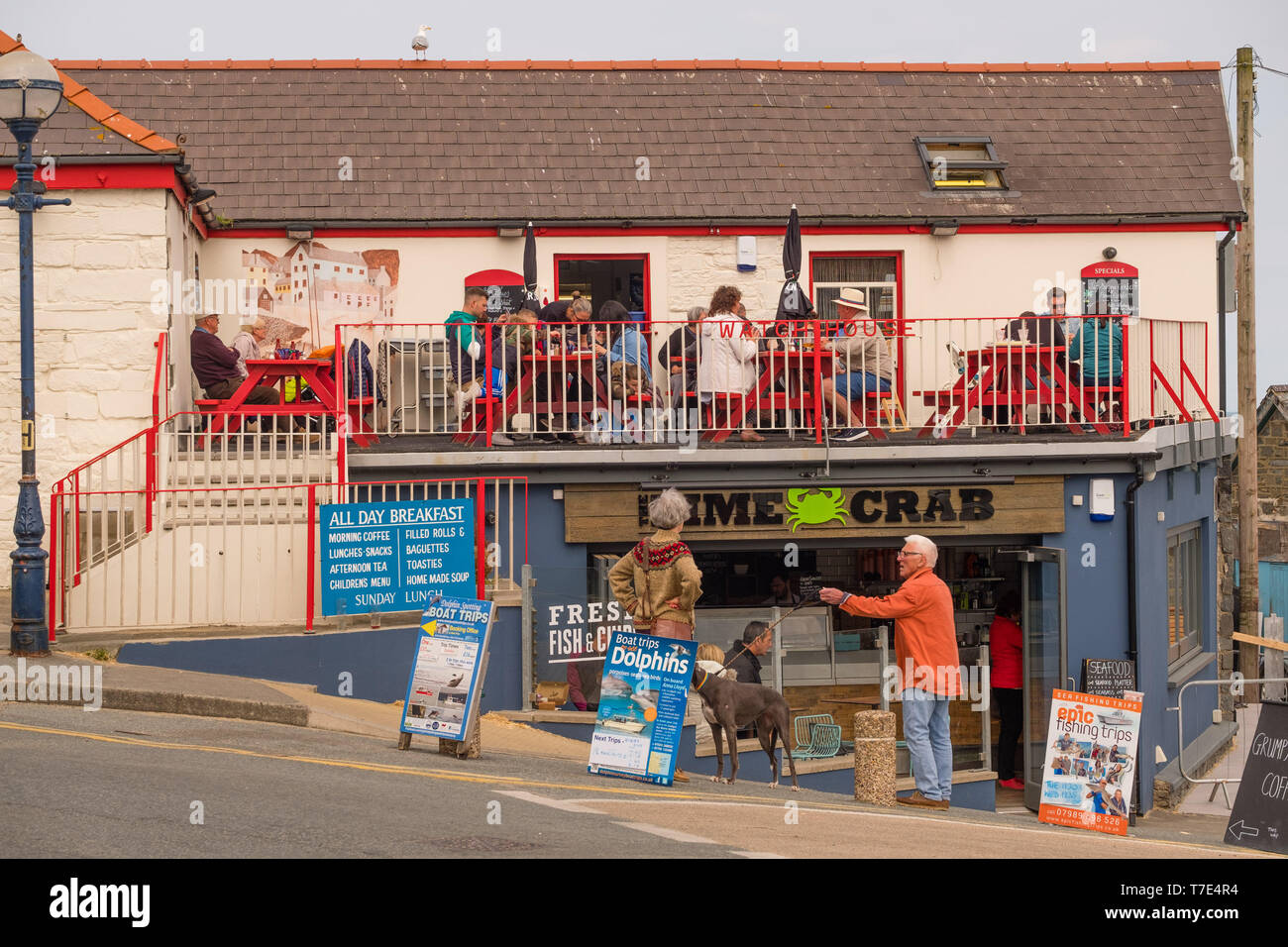 New Quay, Wales UK, Tuesday 07 May 2019 UK Weather: People enjoying the  warm May sunshine at the seaside in the small coastal village of New Quay, on the  shores of Cardigan Bay,   west Wales. Photo credit : Keith Morris /Alamy Live News Stock Photo