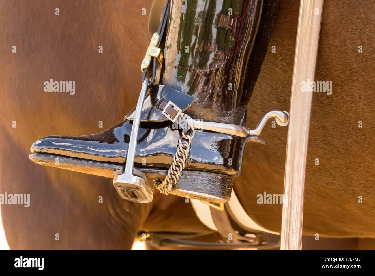 Photographed in London. The royal guards wore these boots witch almost
