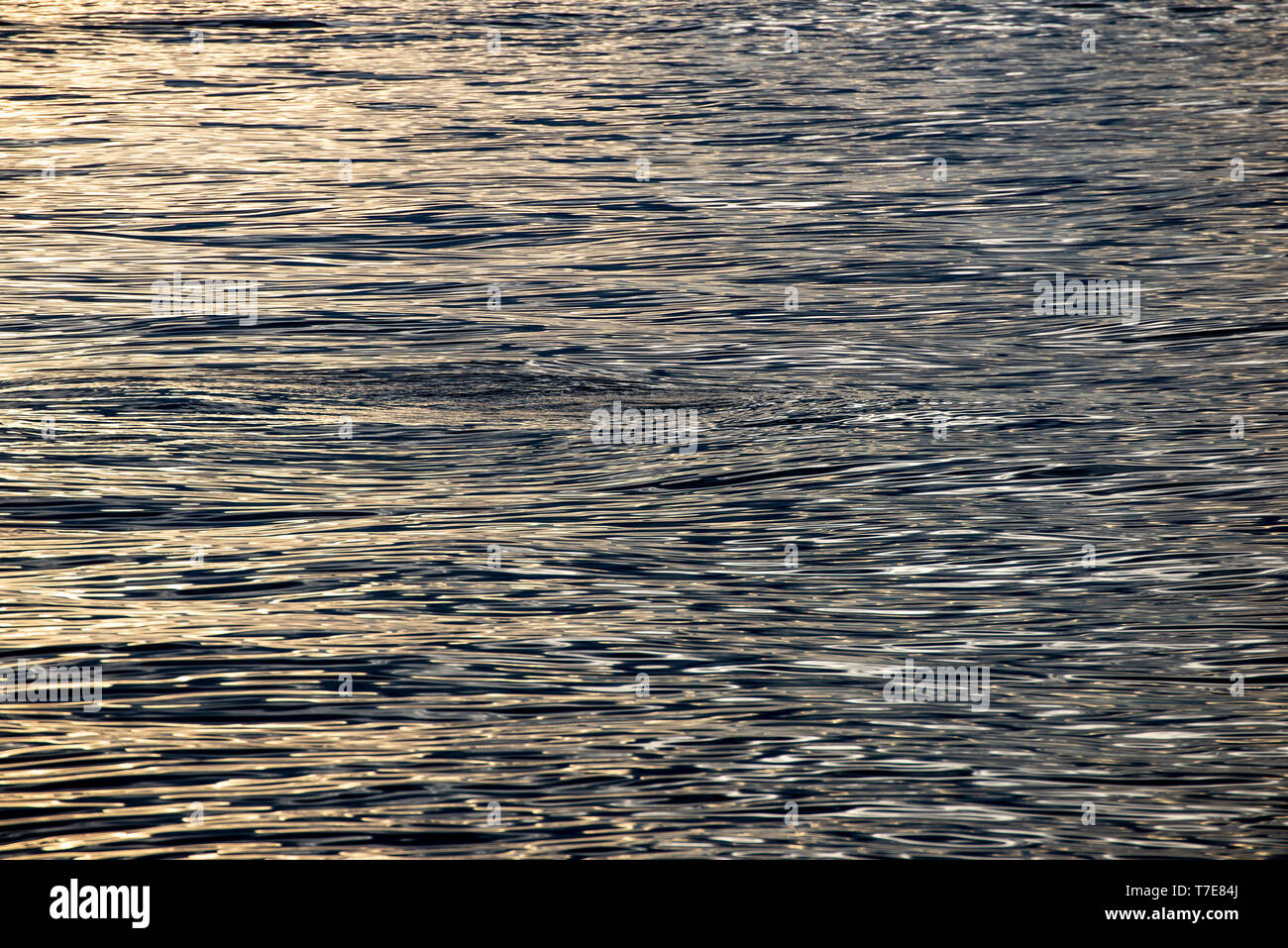 abstract texture of water reflections in calm weather Stock Photo - Alamy