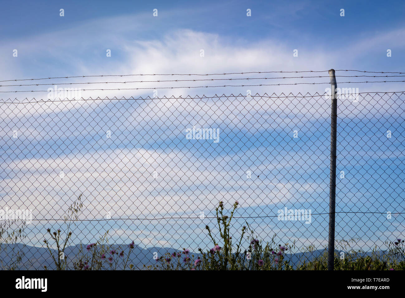 Wire fence with a blue sky with clouds of background Stock Photo - Alamy