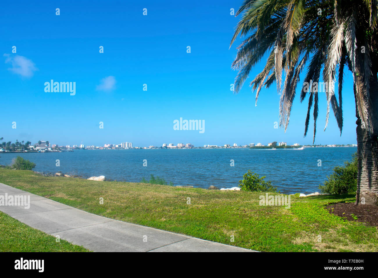 Views of Clearwater Harbor from Clearwater, Florida, USA, flanked by beautiful palm trees on a warm and sunny spring day Stock Photo