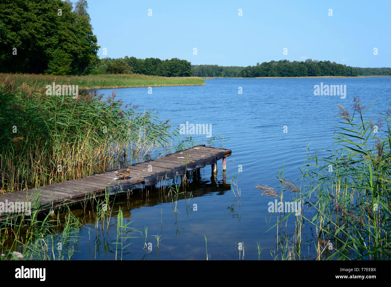 Elixir camp, Lake Kisajno, Wrony, Warmia Masuria, Poland Stock Photo
