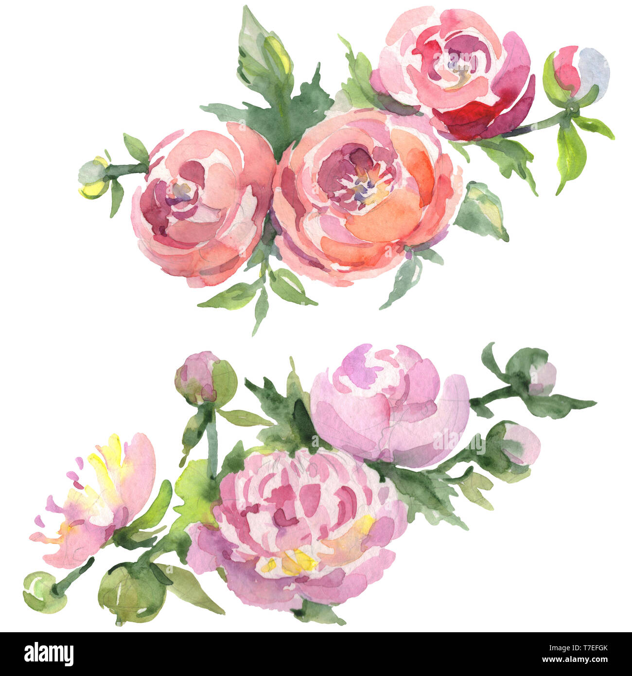 Wild About Flowers Peony in Aqua Wild About Flowers Peony in Aqua
