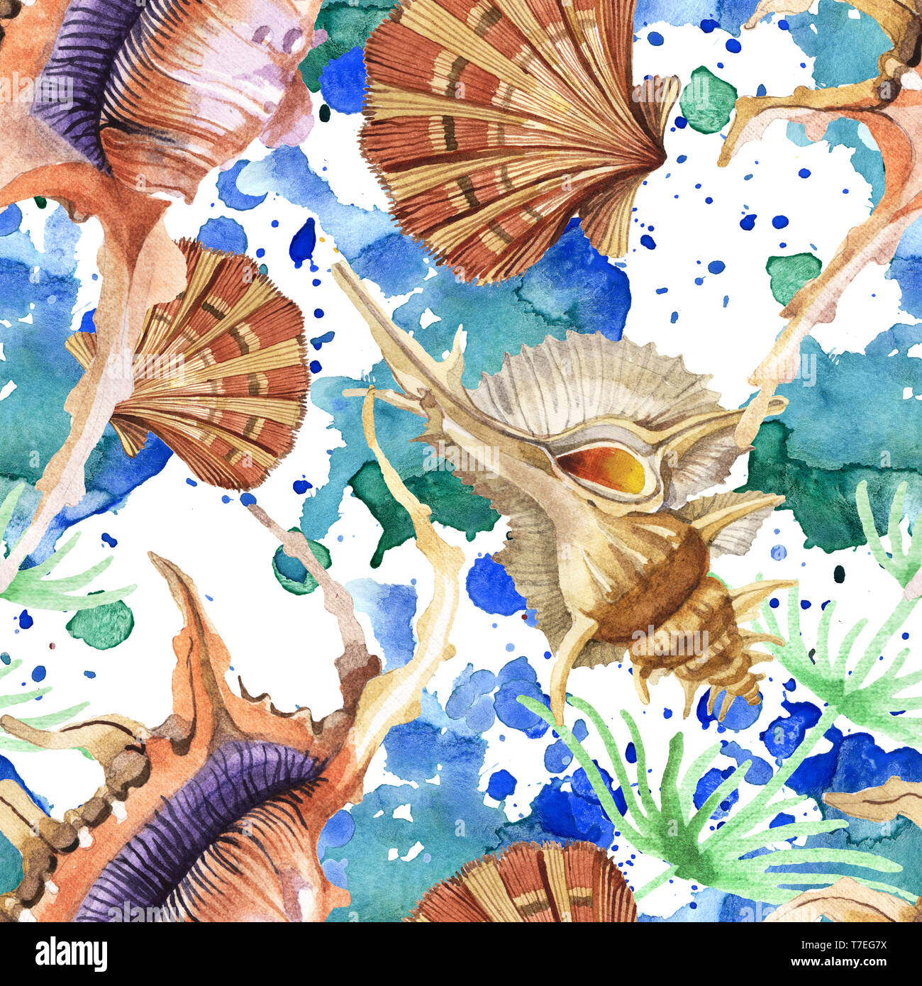 Summer Beach Seashell Tropical Elements Watercolor Background