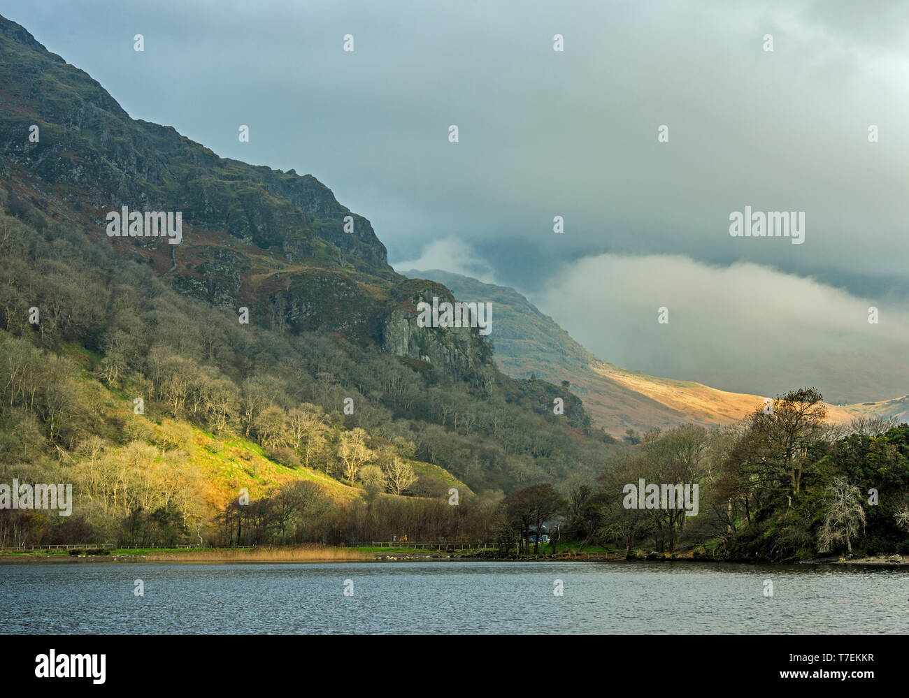 Llyn Gwynant lake looking north with a grey aspect and some lovely sunny splashes. A Snowdonia National Park landscape, North Wales Stock Photo