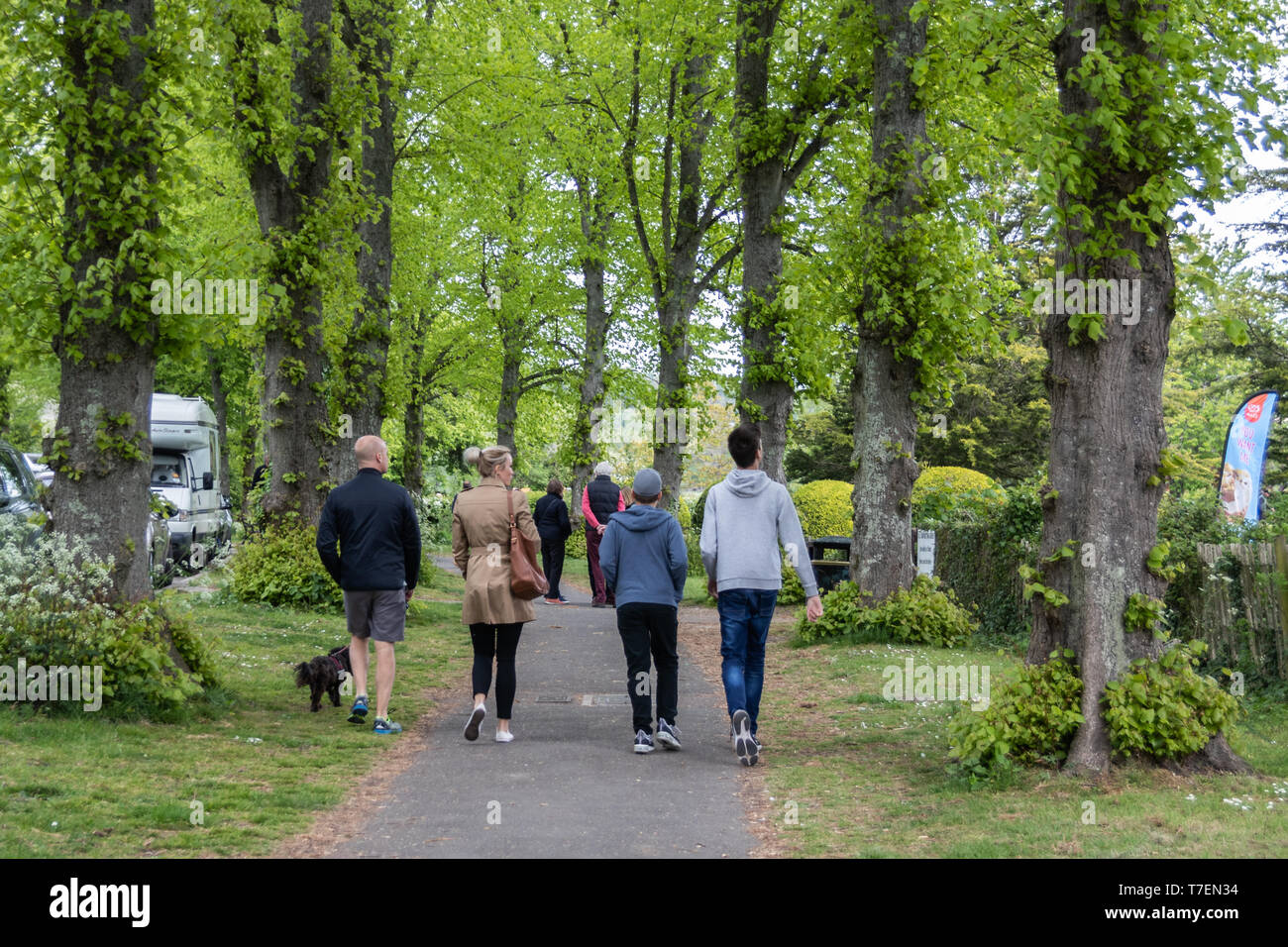A family taking a walk in the park together walking their dog, walking along a path surrounded by trees Stock Photo