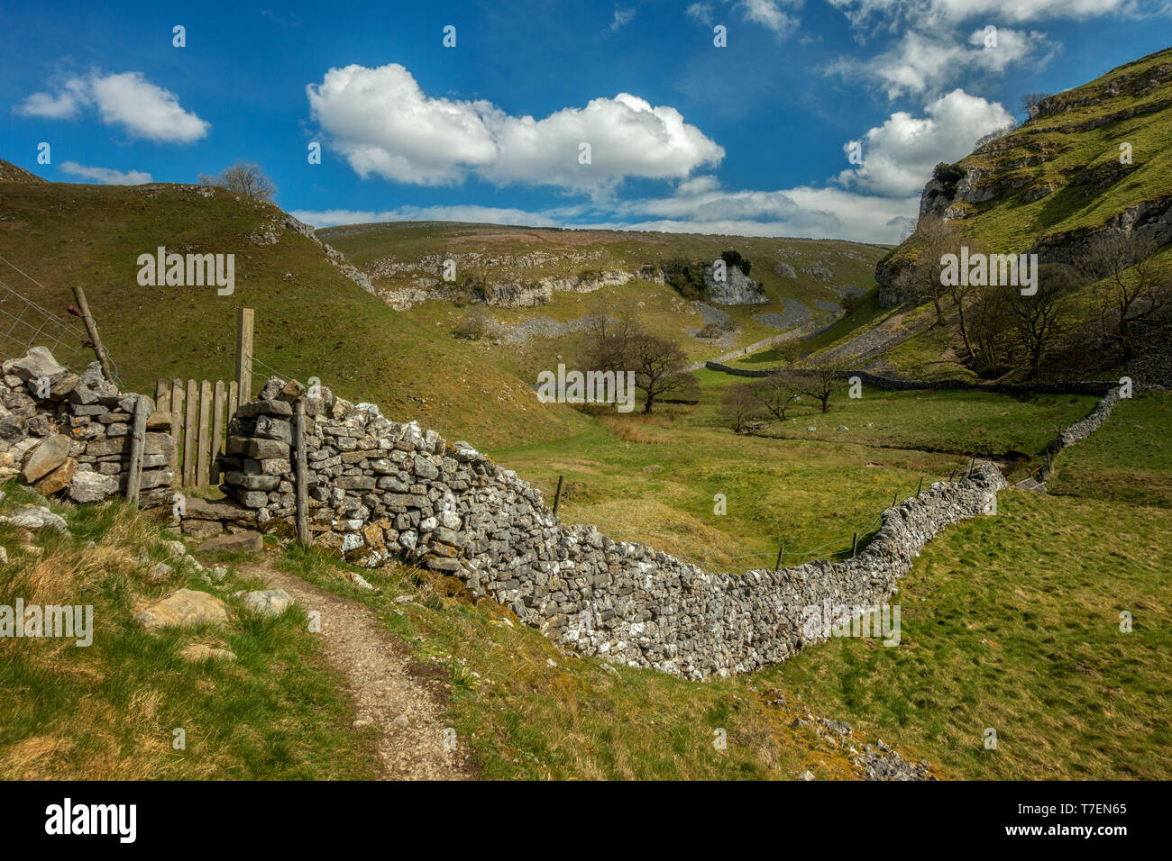 Views over a limestone wall and stile into Trollerdale from the path to Troller's Gill near Appletreewick, Yorkshire Dales Stock Photo