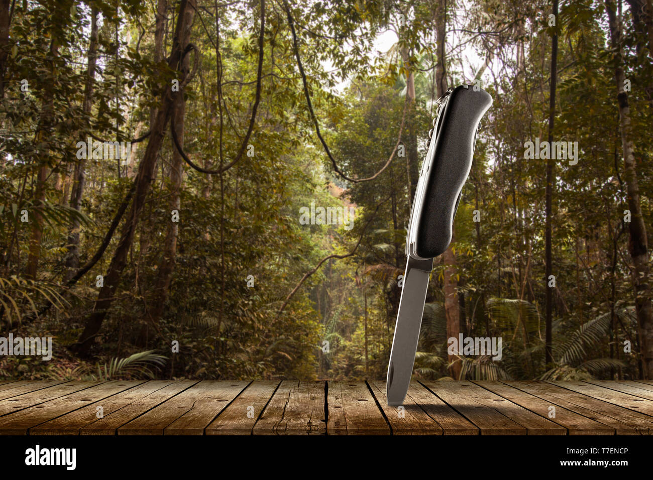 Folding multitool knife in a jungle Stock Photo