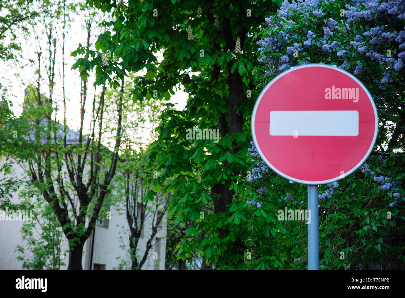 Crossing Sign - Dead end 15131132 PNG