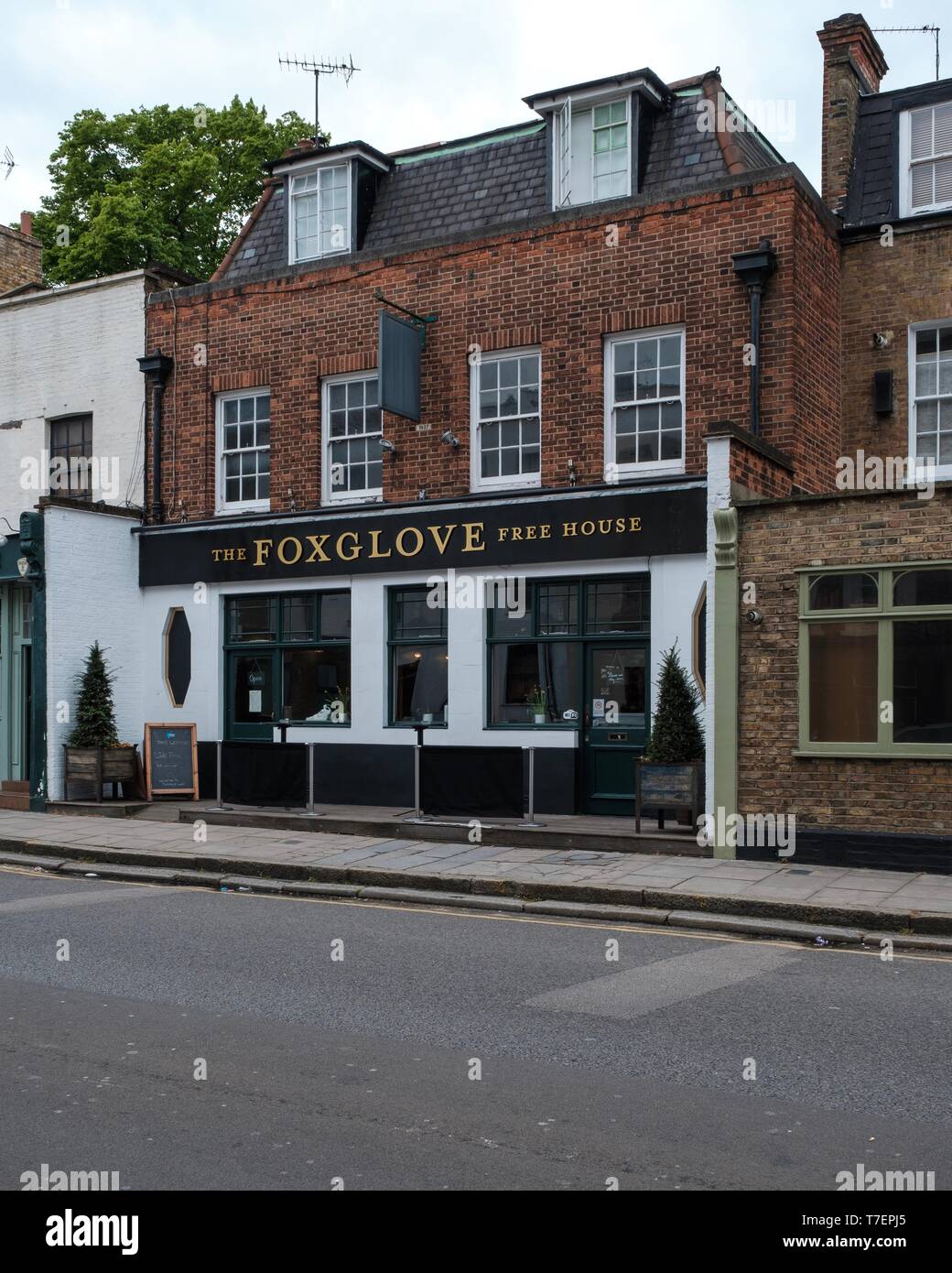 The Foxglove, Liverpool Road, London Stock Photo