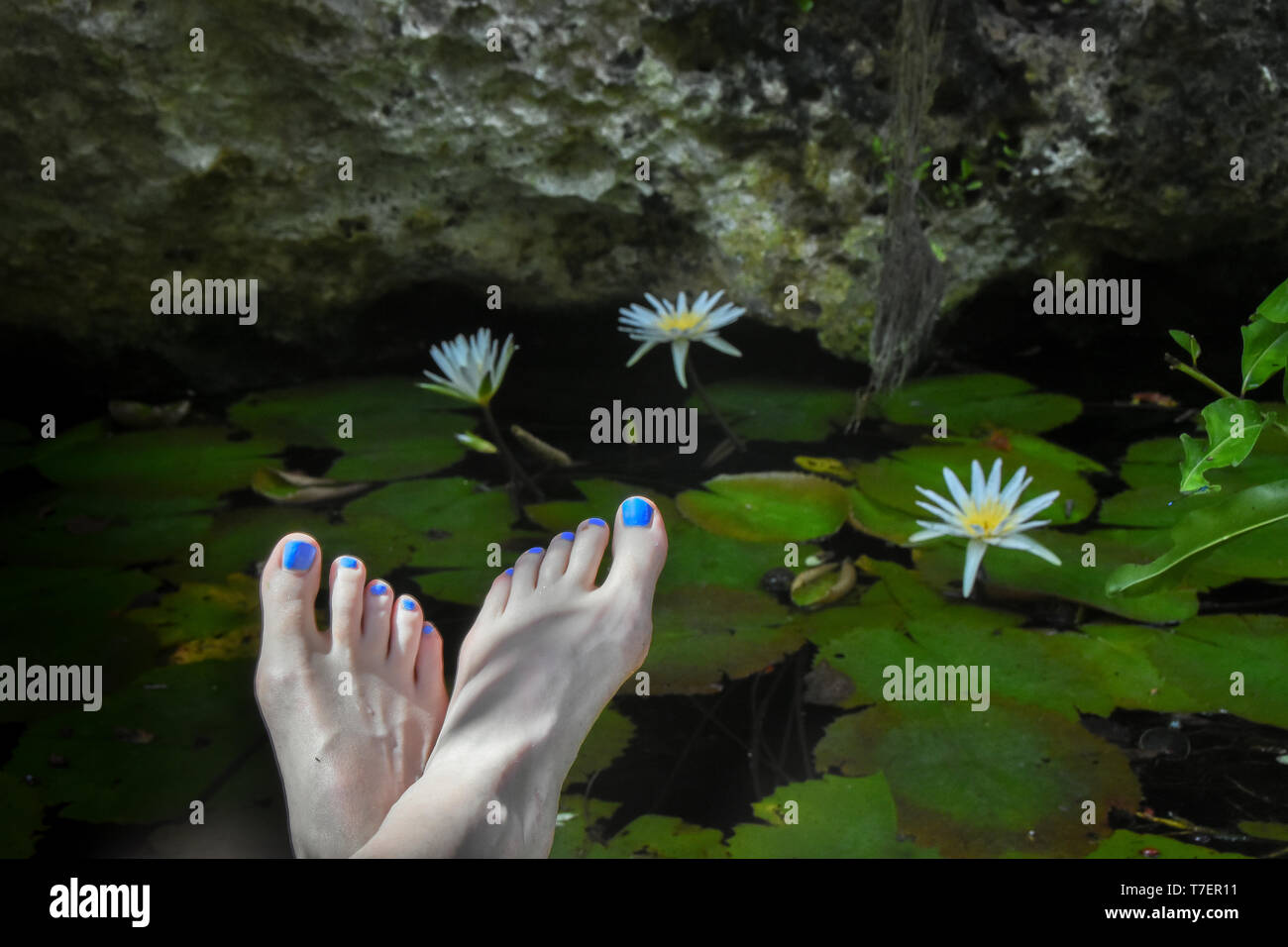 Low section of woman with water lilies Stock Photo