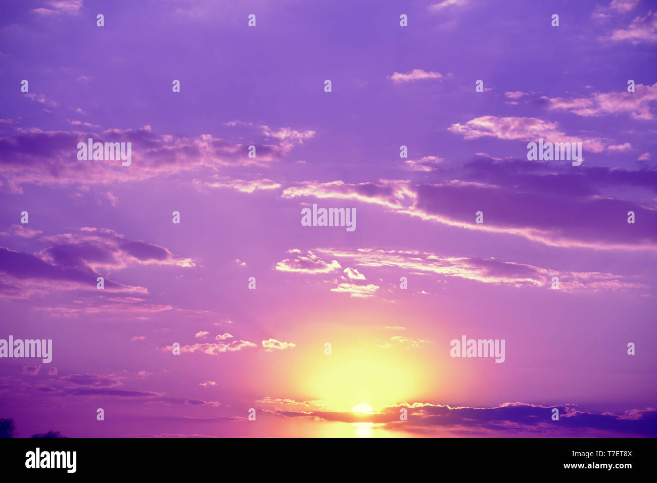 Purple Sky At Sunset With Beautiful Clouds Stock Photo Alamy