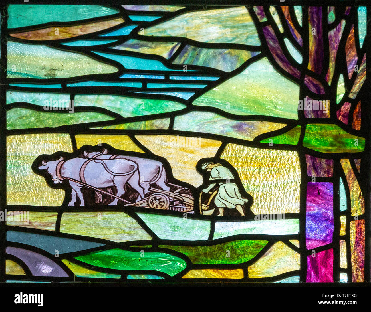 Stained glass window church of Saint Mary, Martlesham, Suffolk, England, UK by Walter J Pearce in Arts and Craft style, 1903 Return of the Prodigal So Stock Photo