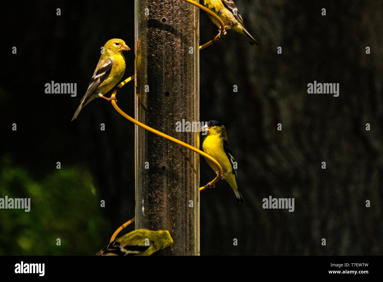 Feeder Road Stock Photos Feeder Road Stock Images Alamy