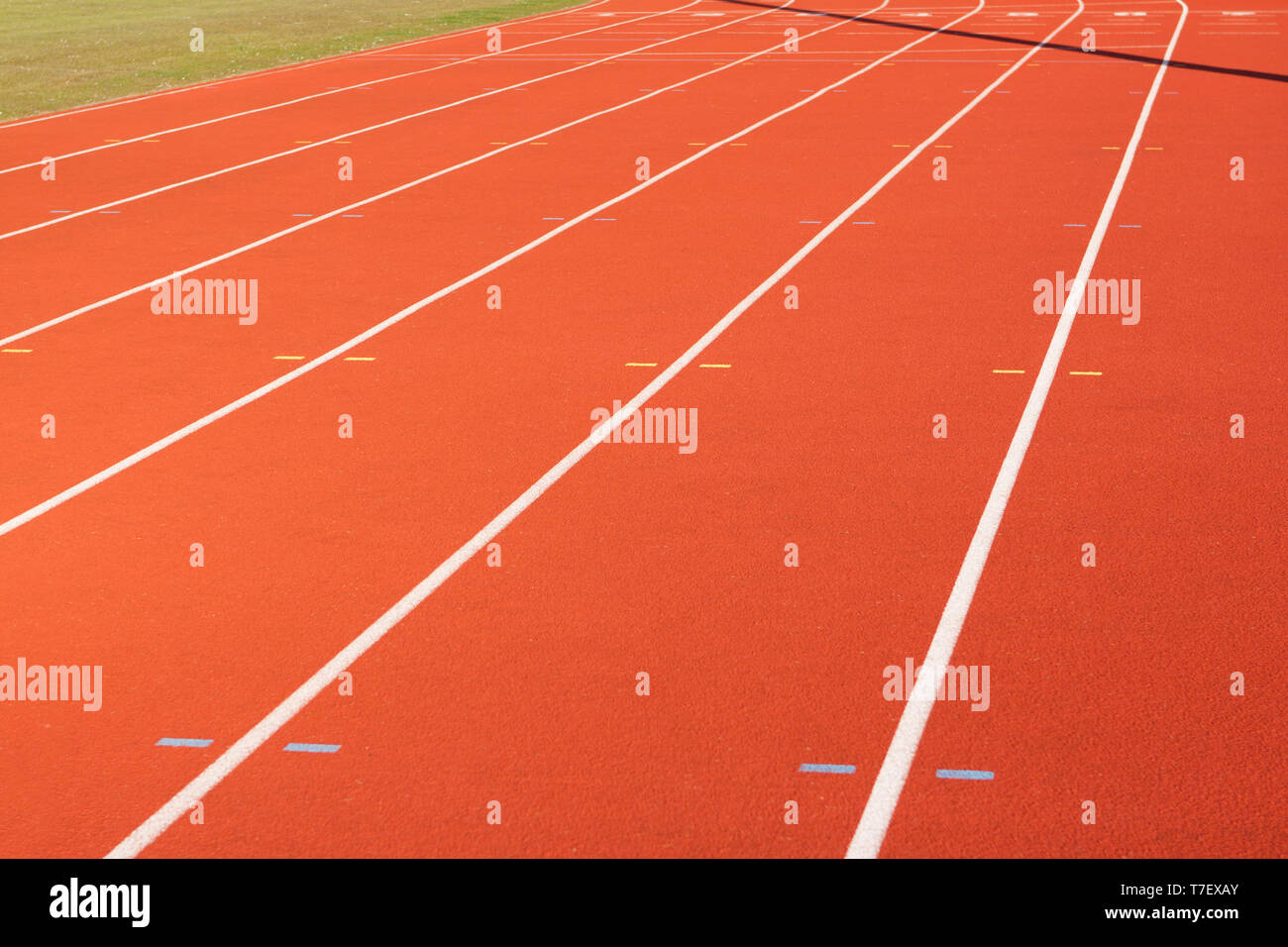 Running track lines Stock Photo Alamy