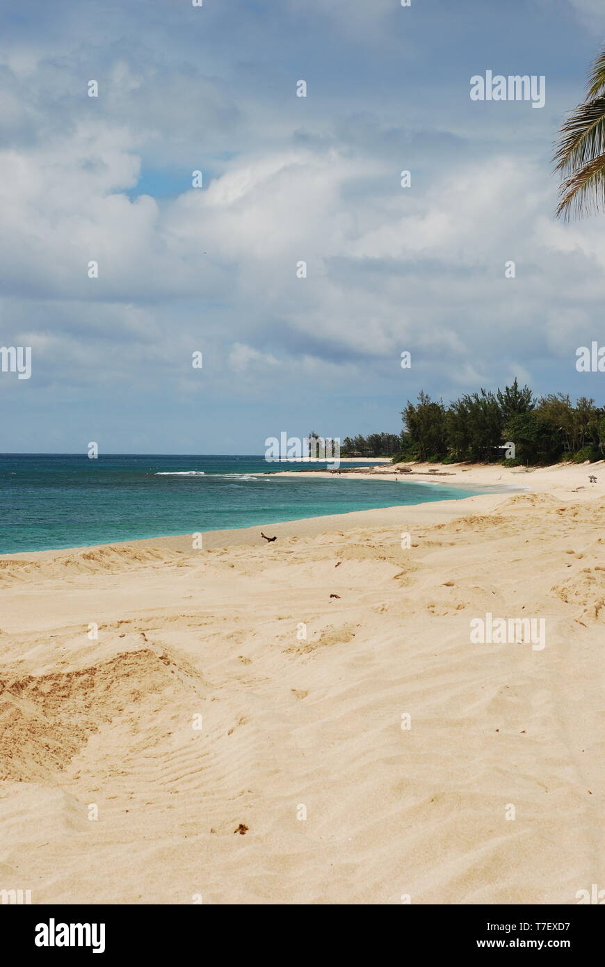 Sandy beach ocean shore clear water Honolulu Oahu Hawaii Stock Photo