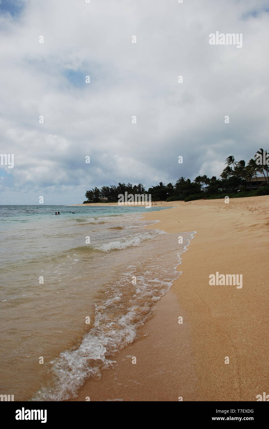 Sandy beach ocean shore clear water Honolulu Oahu Hawaii Stock Photo