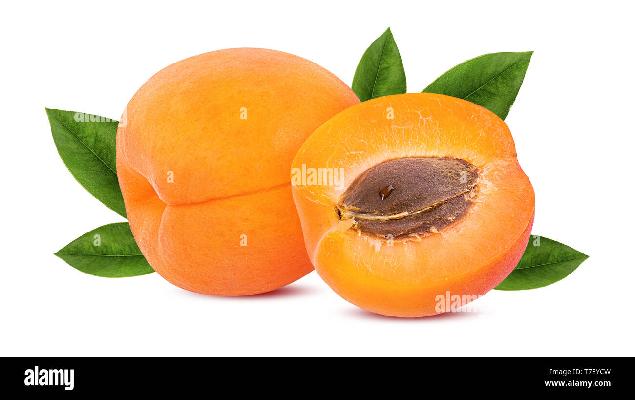 apricot isolated on white background Stock Photo - Alamy