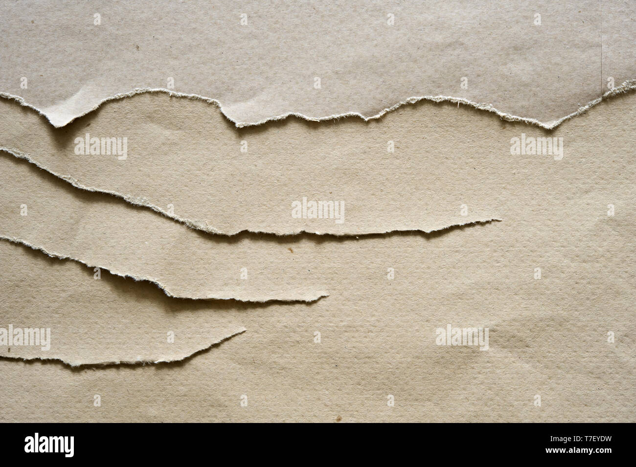Torn brown paper with copy space. Stock Photo