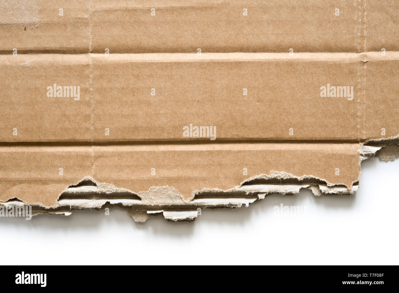 Torn cardboard on white background. Stock Photo