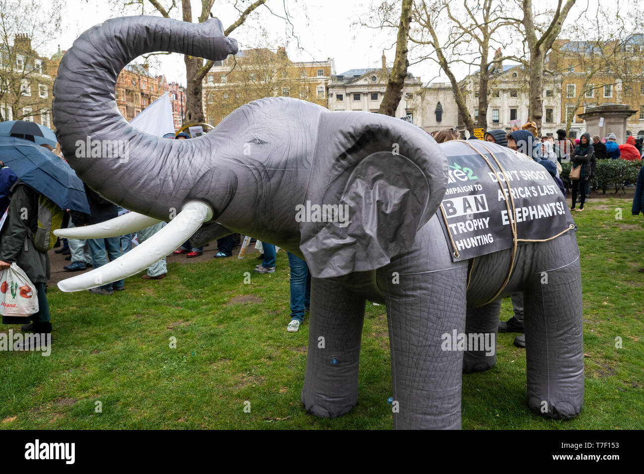 The London March Against Trophy Hunting and Extinction gathered at Cavendish Square and marched through Central London to Downing Street. Stock Photo