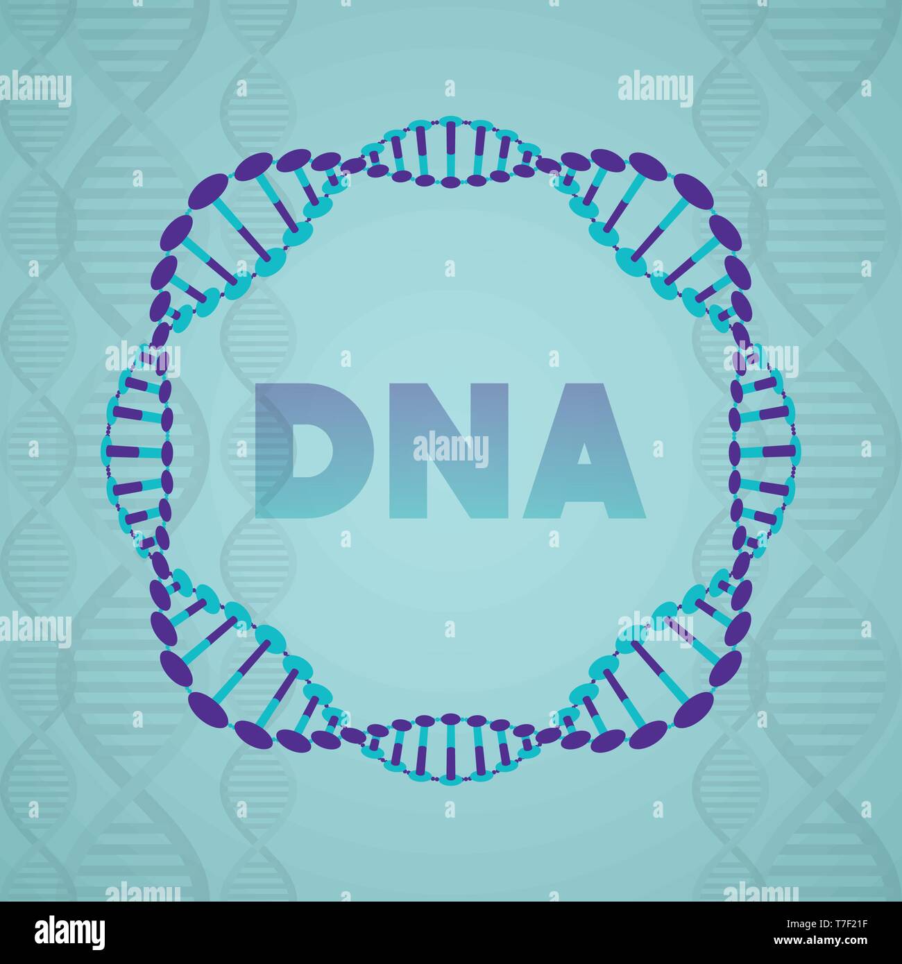 dna molecule circular structure Stock Vector Image & Art - Alamy