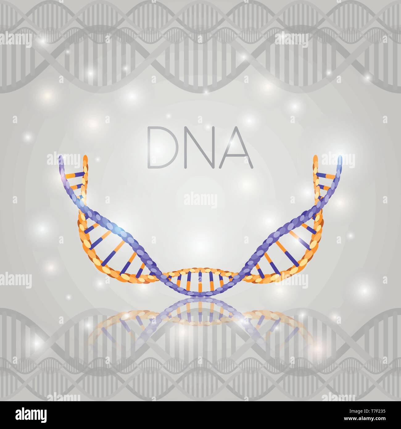 dna molecule half circle structure pattern Stock Vector Image & Art - Alamy
