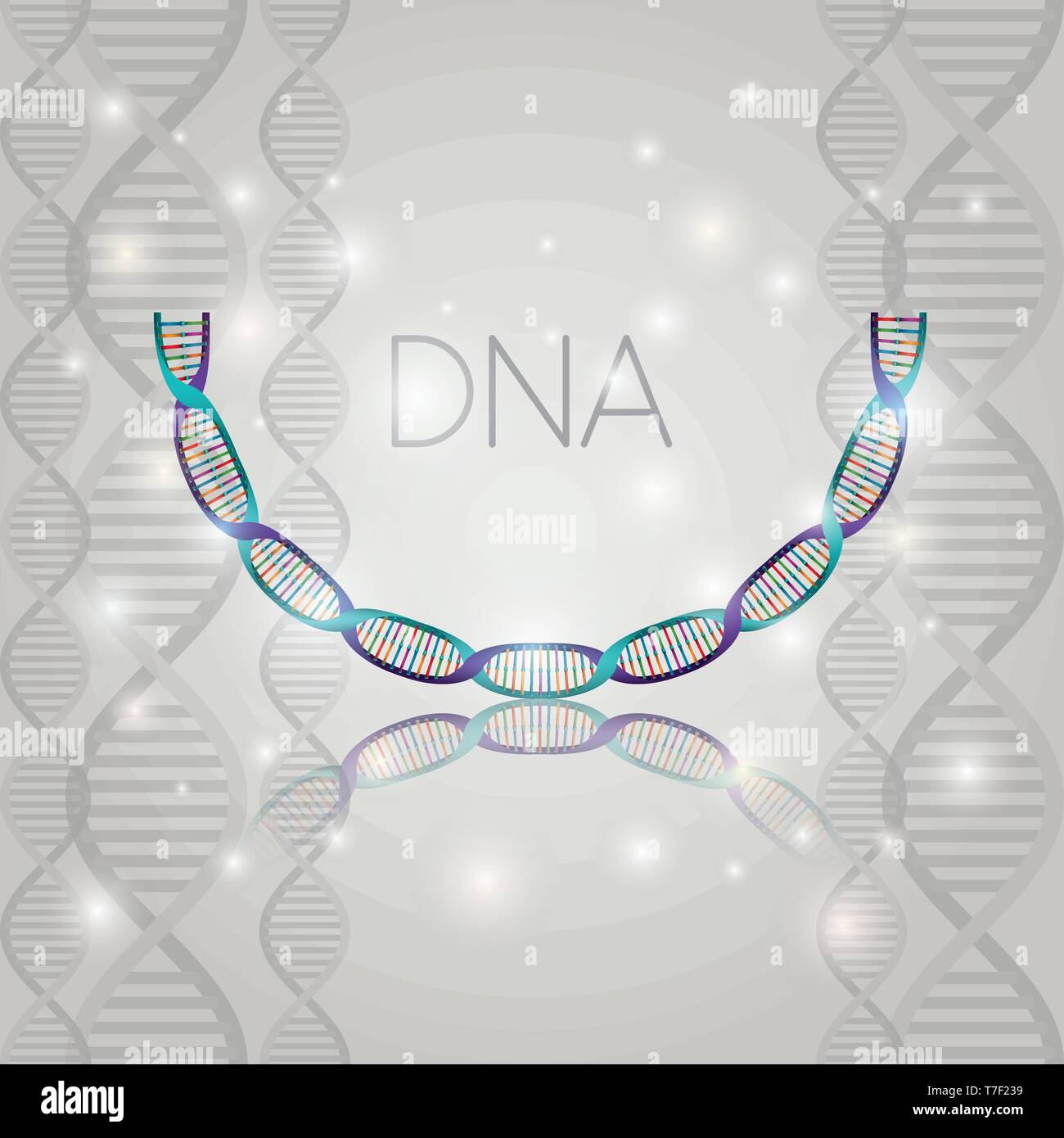 dna molecule half circle structure pattern Stock Vector Image & Art - Alamy