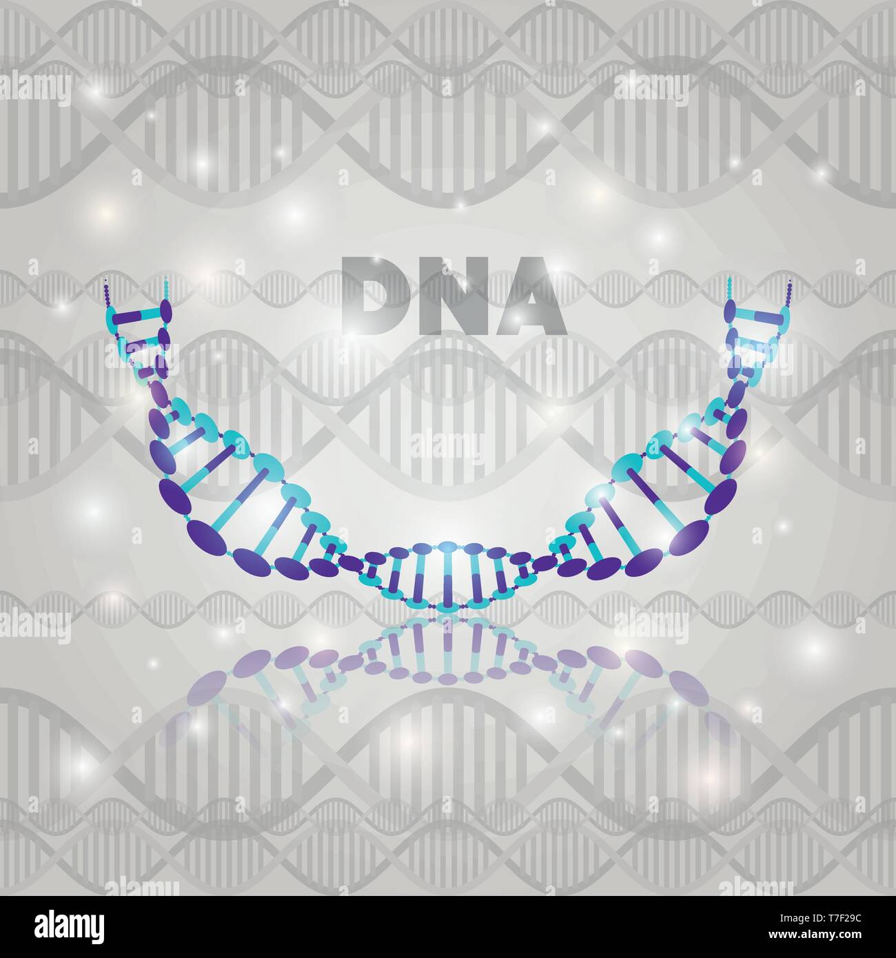 dna molecule half circle structure pattern Stock Vector Image & Art - Alamy