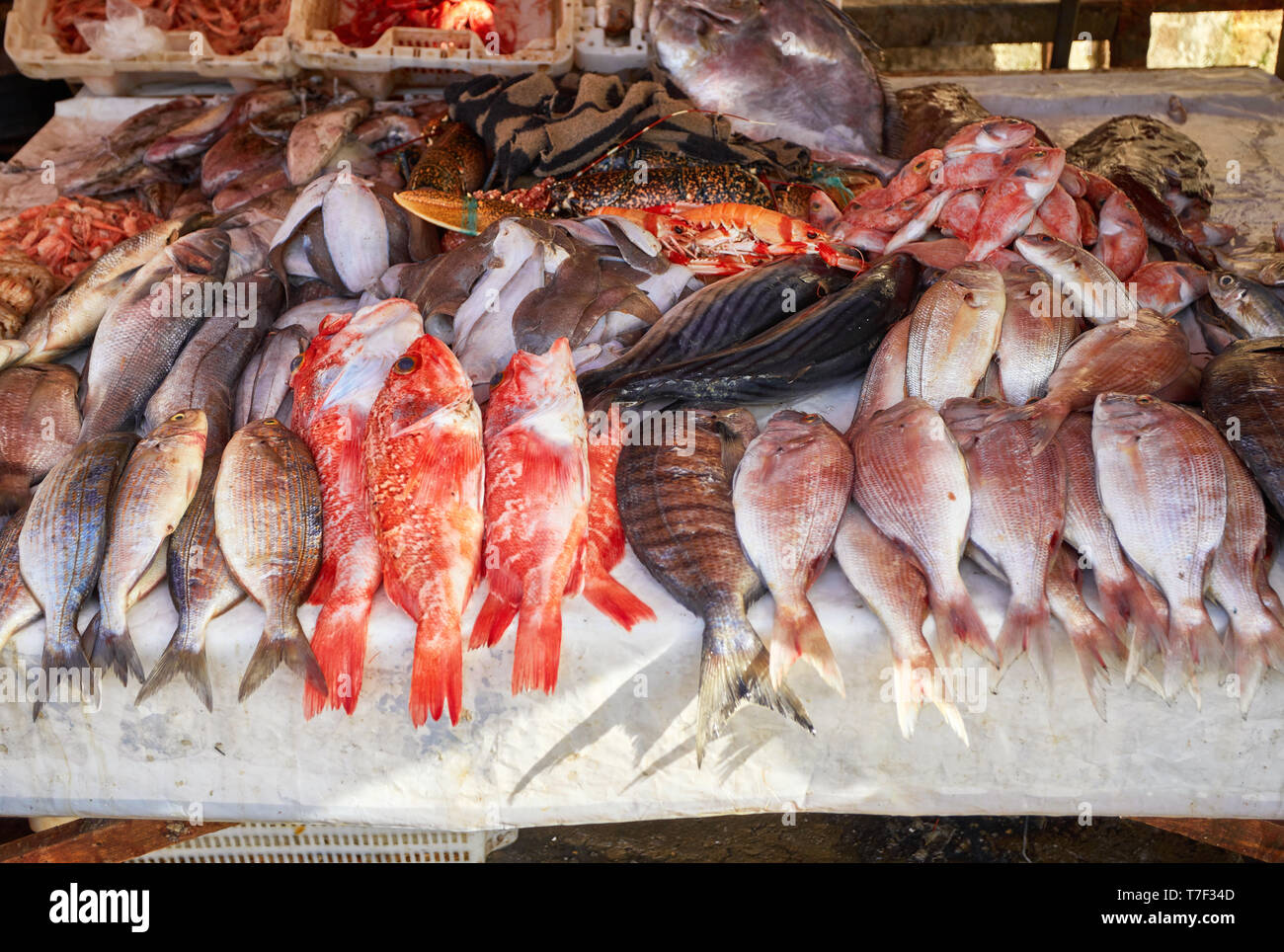 Real fish market and fresh fish, seafood from Atlantic ocean in