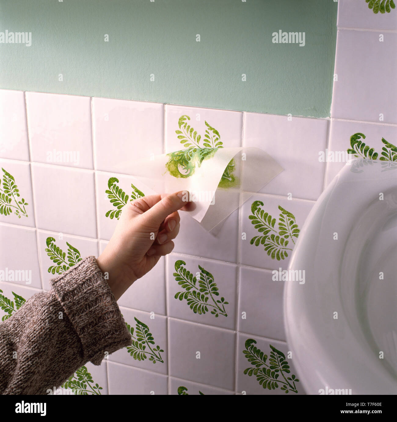 Hand removing backing from stencil on white tiling Stock Photo