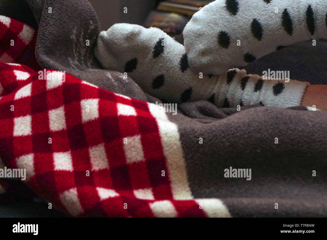 Red and white blanket and feet with white dotted socks chilling at home close up view Stock Photo