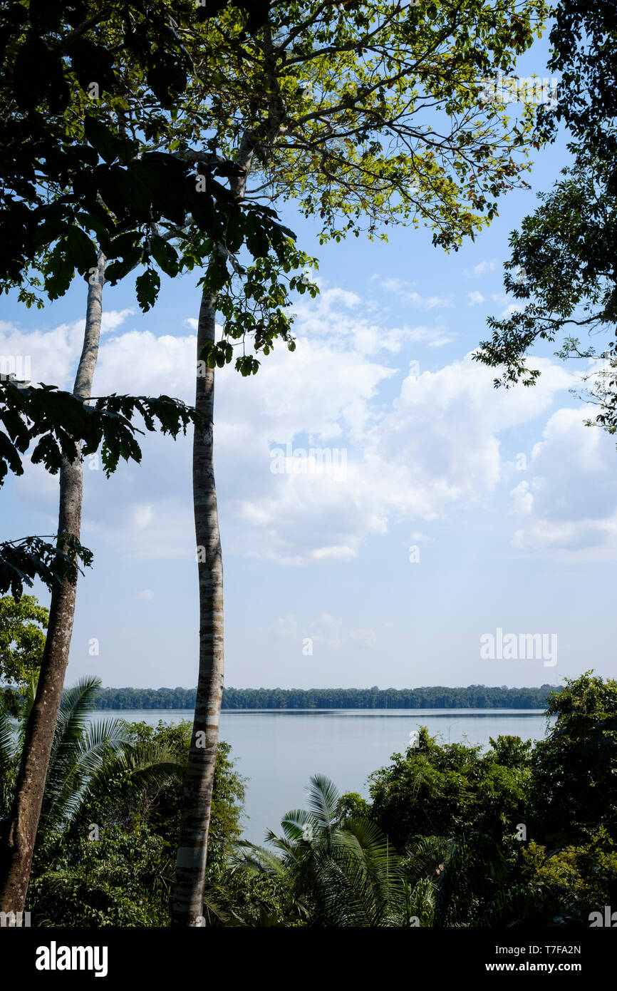 Lake Sandoval in Peruvian Amazon Basin, Peru Stock Photo - Alamy